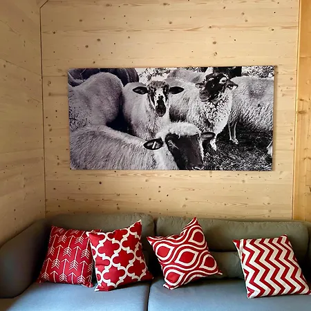 Im Loft-style Mit Sauna Im Historischen Schwarzwaldhof Appartement