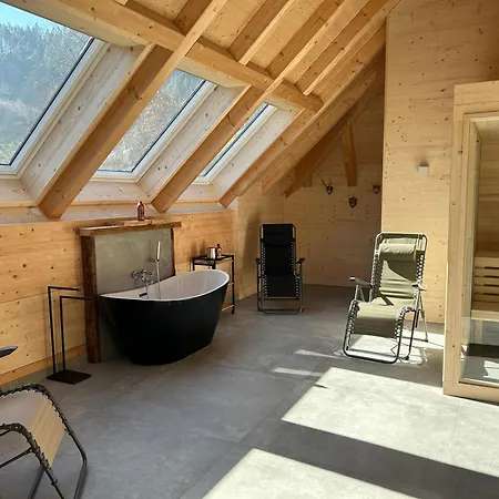 Im Loft-style Mit Sauna Im Historischen Schwarzwaldhof Appartement *