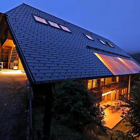 Appartement Im Loft-style Mit Sauna Im Historischen Schwarzwaldhof *