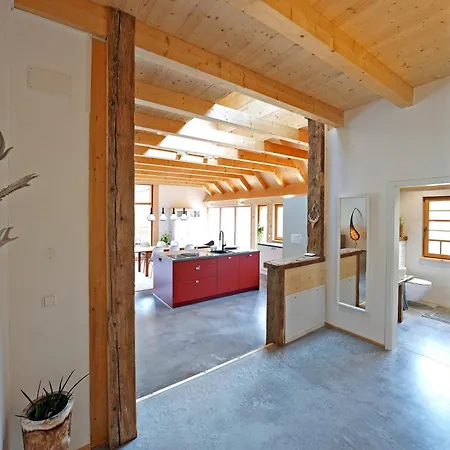 Appartement Im Loft-style Mit Sauna Im Historischen Schwarzwaldhof *