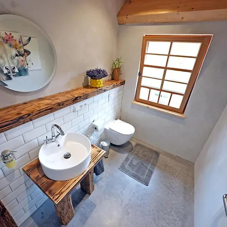 Apartment Im Loft-style Mit Sauna Im Historischen Schwarzwaldhof