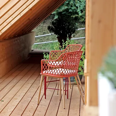 Im Loft-style Mit Sauna Im Historischen Schwarzwaldhof Appartement *